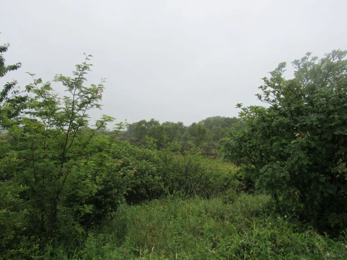 Barnahesker, Kilkelly, Co. Mayo - Image 2